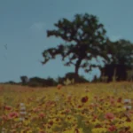 coming-soon-bg-image
